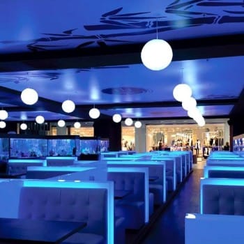 cel mai bun sushi in Bucuresti Sushi Terra Veranda