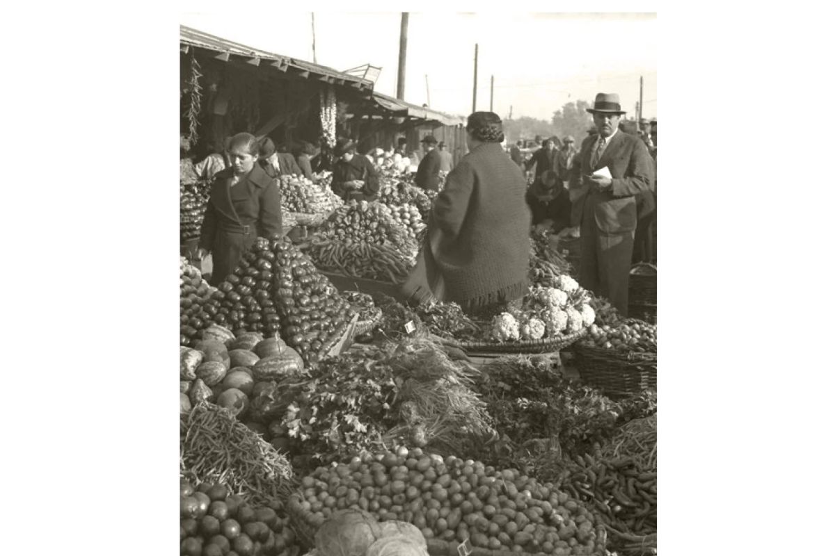 Halele Obor, 1937